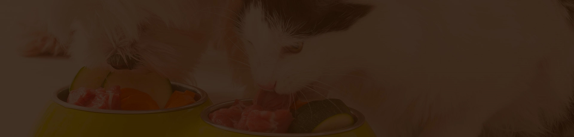 crushed tofu cat litter factories