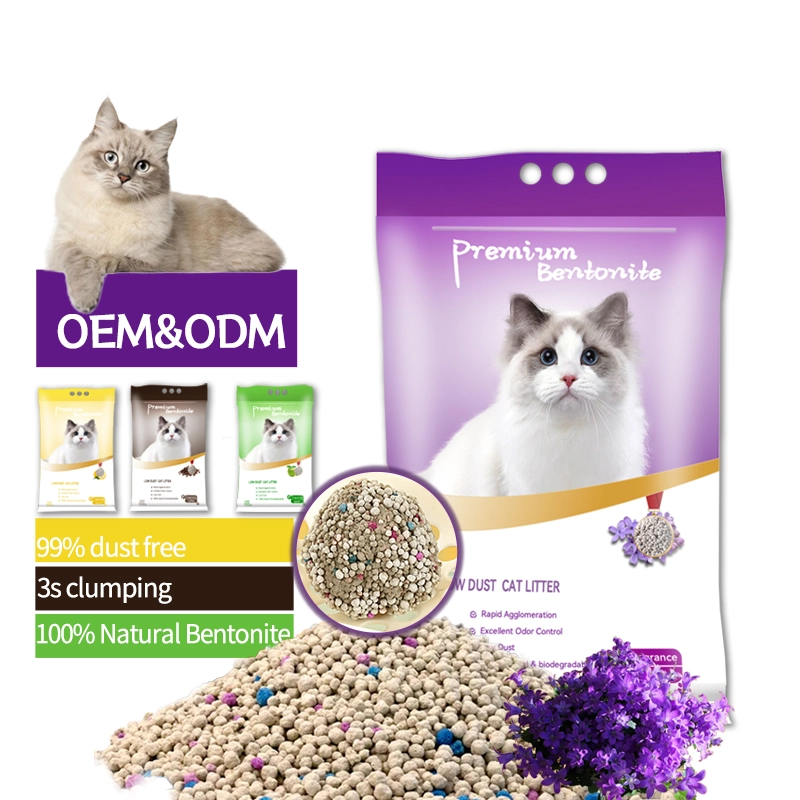 clothes for small dog suppliers
