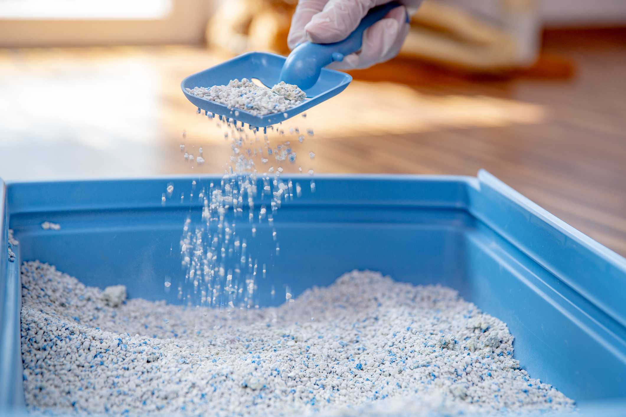 oem cheapest tofu cat litter