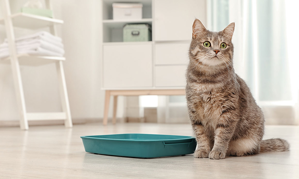 custom least tracking cat litter