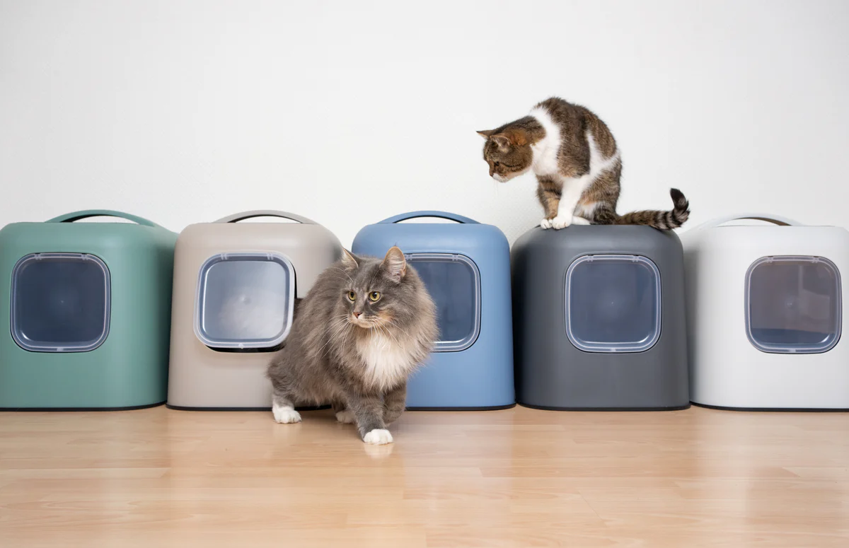 designer pet clothes suppliers