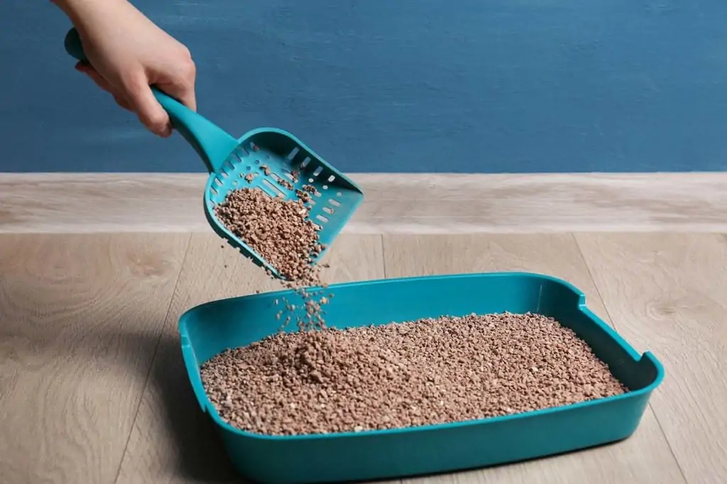 abound cat litter suppliers