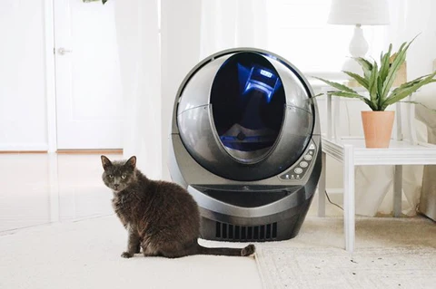 best clump cat litter factory