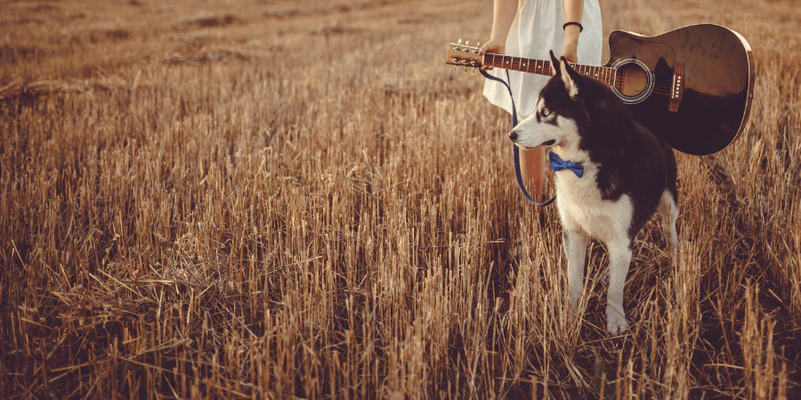 custom fall clothes for dogs