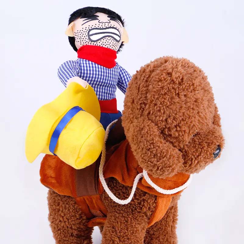 odm dog clothes small dogs