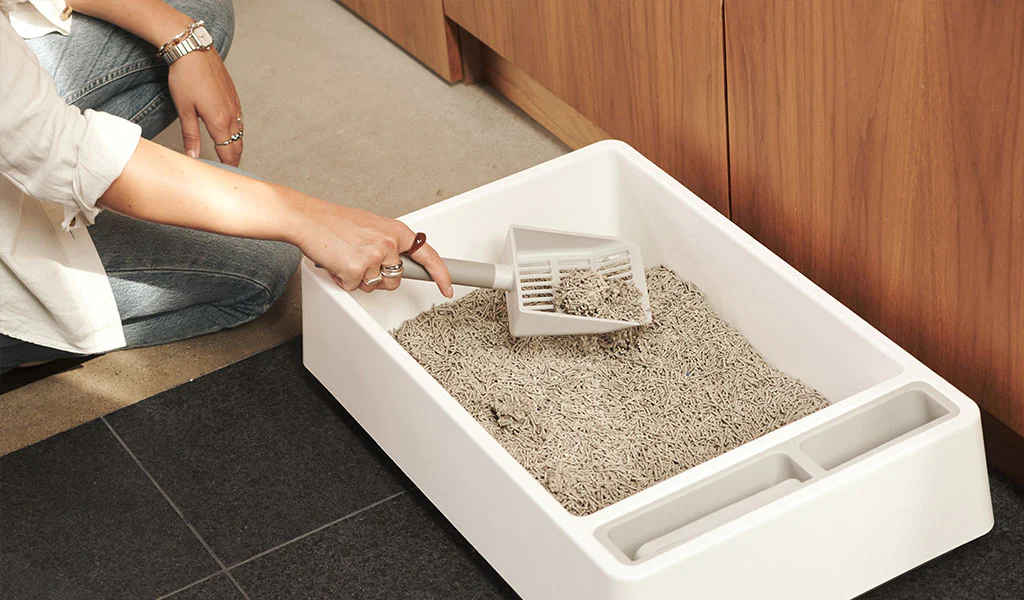 odm 40 lb cat litter