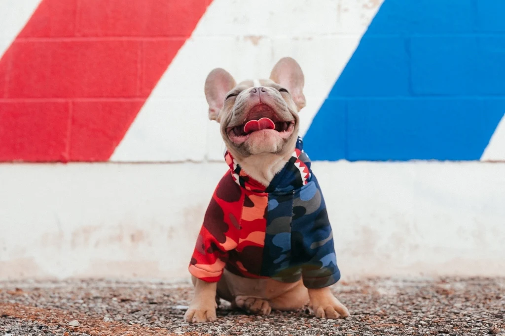 custom cute small dog clothes