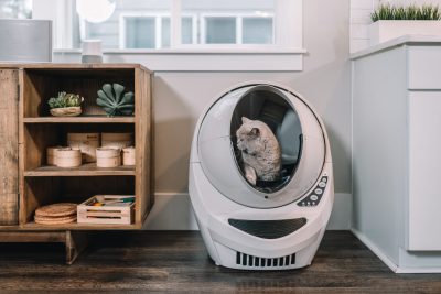 bentonite cat litter safe factory