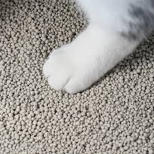 100 bentonite cat litter factory