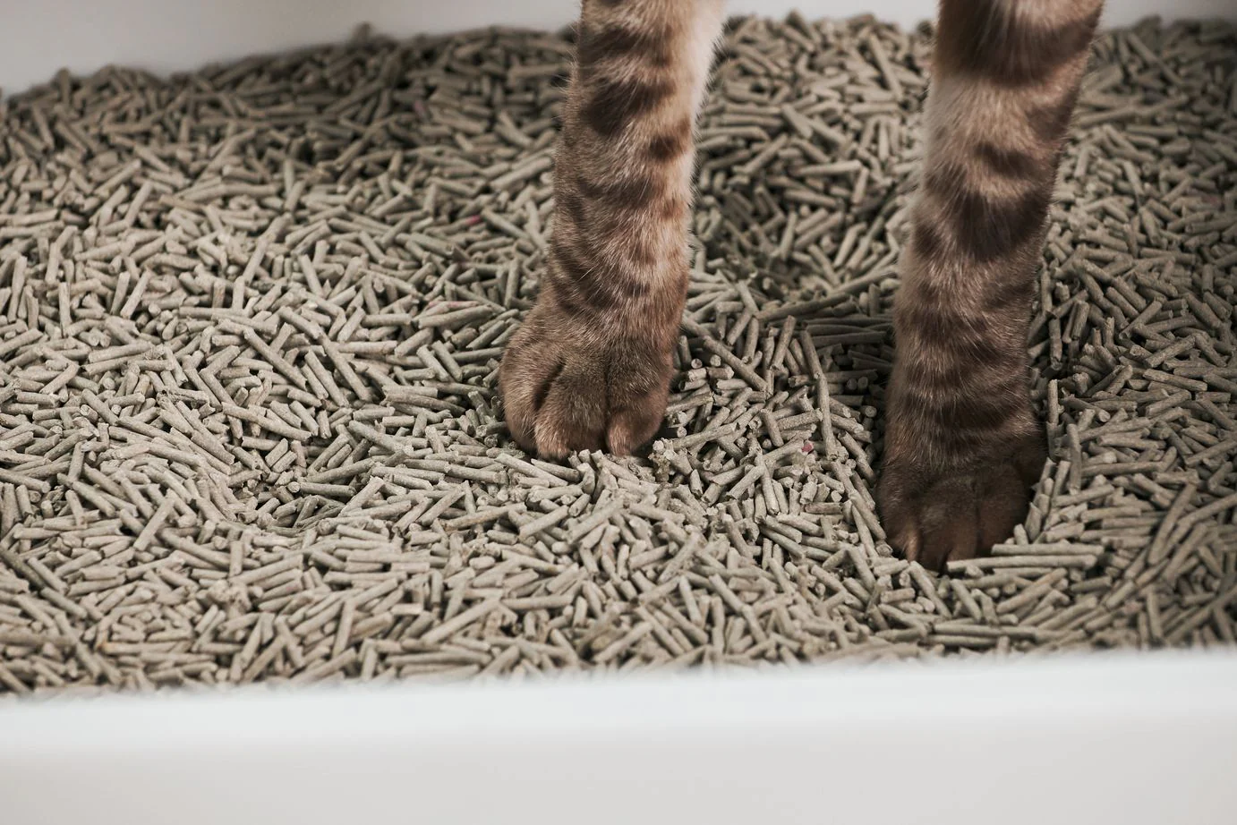oem bulk tofu cat litter