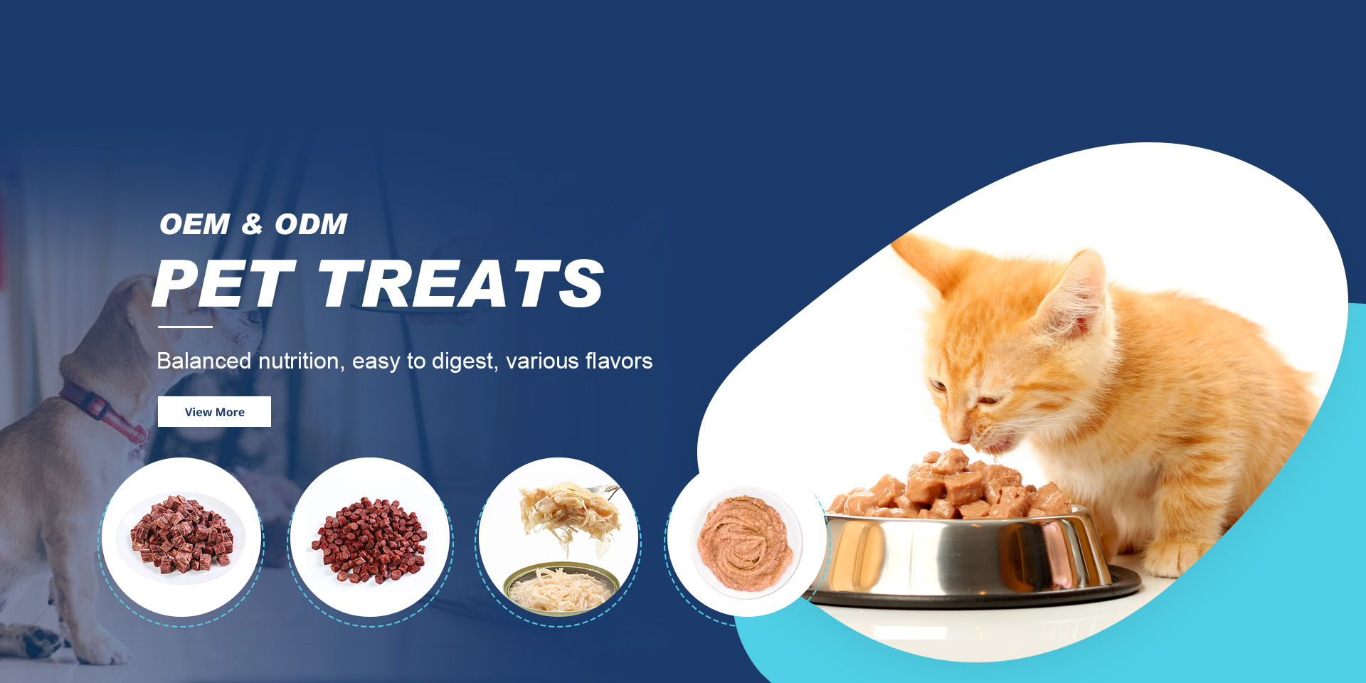 sand type cat litter factories