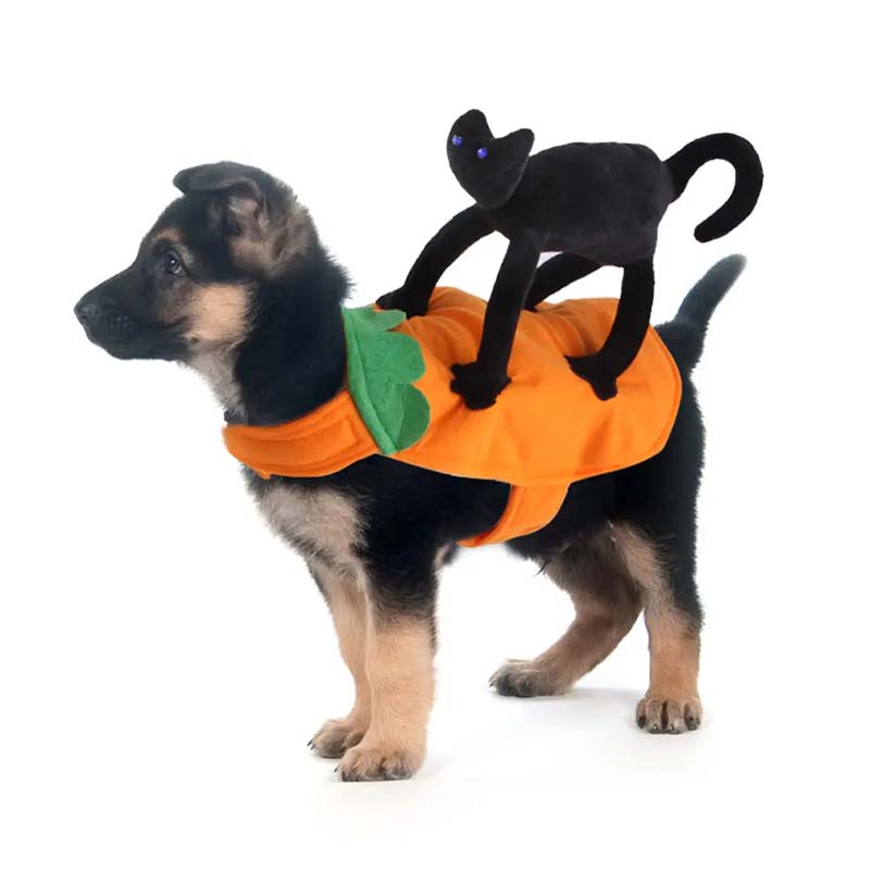 fashion dog clothes suppliers