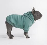 wholesale personalized dog apparel